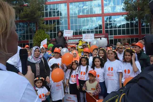 Türk Nefroloji, Diyaliz veTransplantasyon Hemşireleri Derneği n