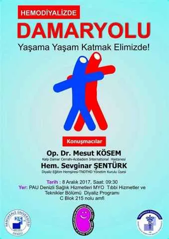 Hemodiyalizde Damaryolu