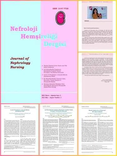 Nefroloji Hemşireliği Dergisi 2021 Yılı 2. Sayı Yayınlandı